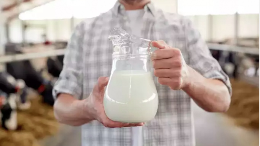 Đun sôi sữa quá nhiều sẽ làm giảm chất dinh dưỡng, đó có phải là sự thật?