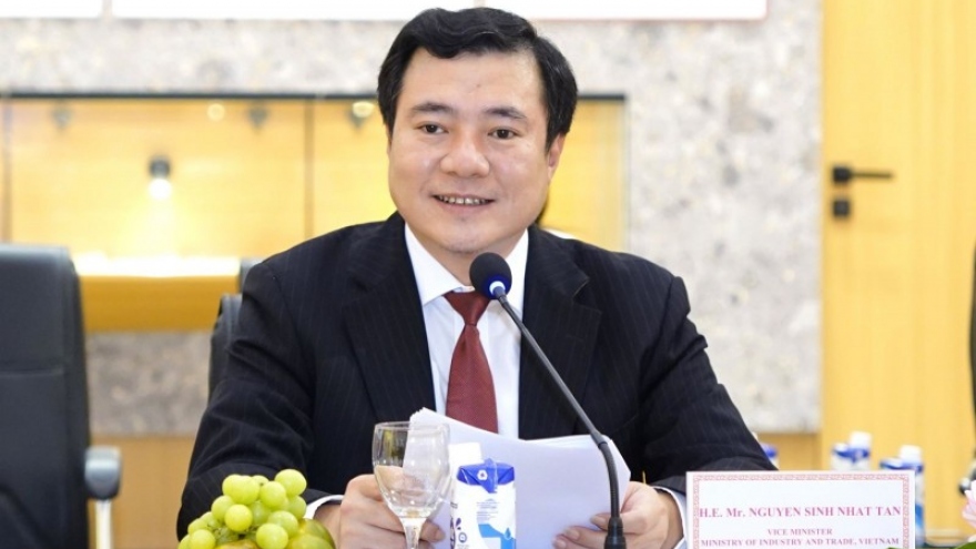 Thứ trưởng Nguyễn Sinh Nhật Tân là người phát ngôn của Bộ Công thương
