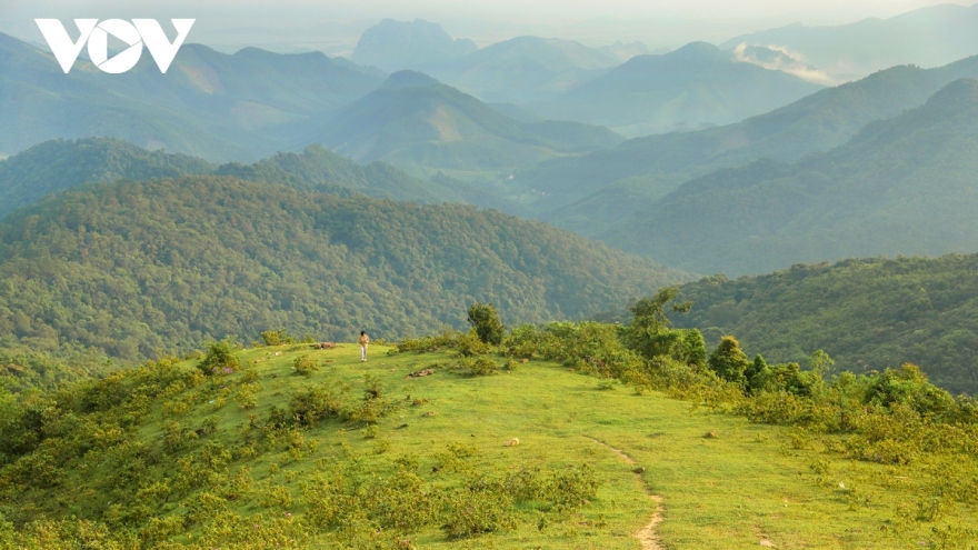 Admiring Ky Thuong Mount in Quang Ninh province