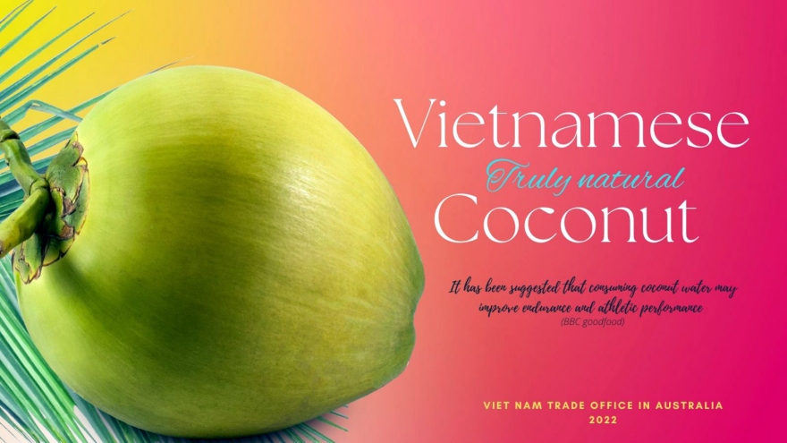 Dừa Việt Nam dần có chỗ đứng vững chắc tại Australia