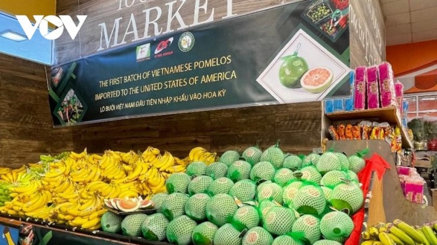 Seven items record export turnover exceeding US$1 billion in first half