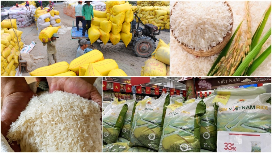 Giá gạo Việt Nam cao nhất thế giới
