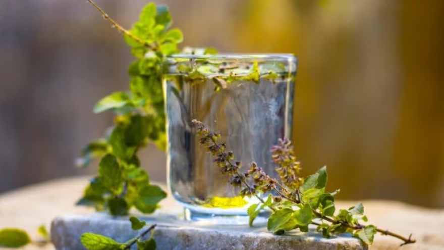 6 lợi ích với sức khỏe của nước hương nhu tía