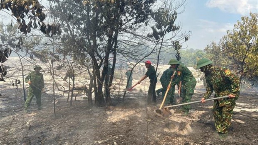 Thừa Thiên-Huế: Cháy rừng phòng hộ, khoảng 7,5ha bị thiệt hại