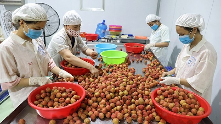 Compliance with quality standards – a must to bolster fruit exports: insiders