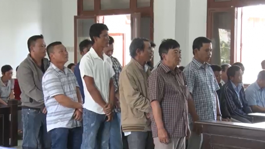 Tuyên án các bị cáo trong vụ phá rừng xã Sơn Hội, Phú Yên