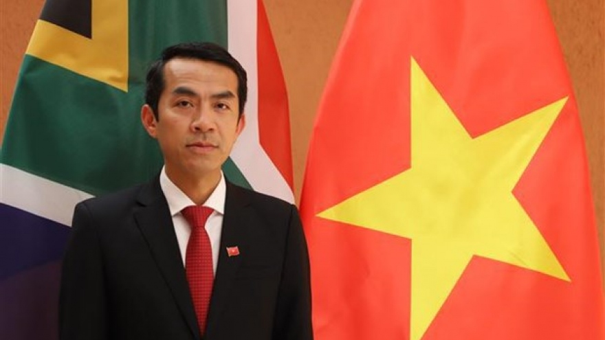Vietnam, South Africa develop substantive, fruitful relations: ambassador
