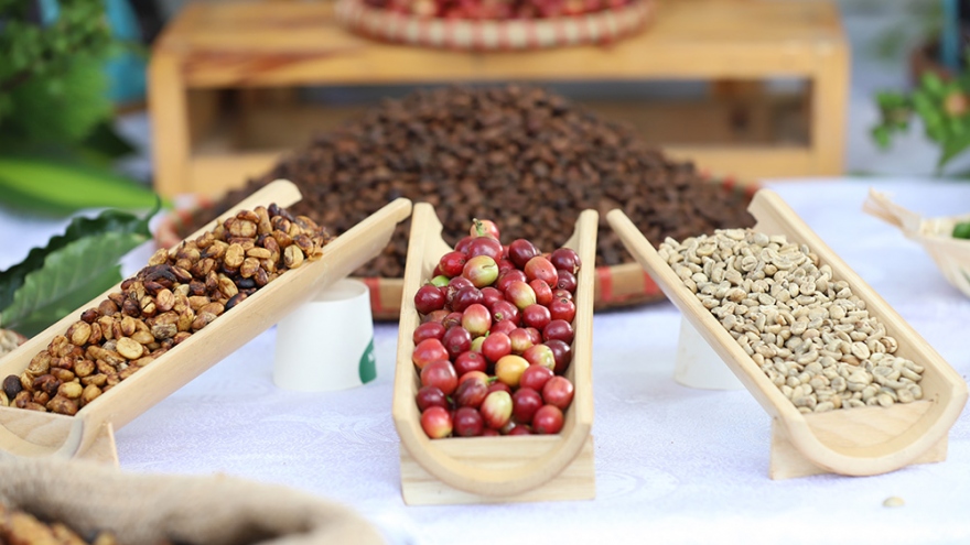 Gala cà phê Sơn La: Đẩy nền kinh tế cà phê phát triển bền vững