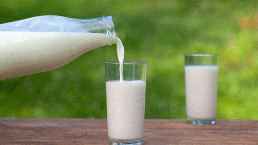 Tại sao uống sữa tươi bị tiêu chảy?