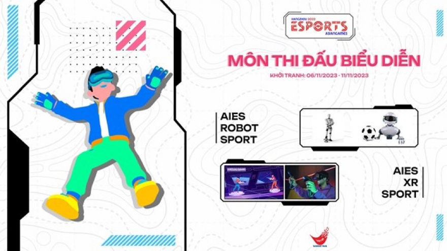 Vietnamese e-sports teams to compete at ASIAD 19’s demonstration events