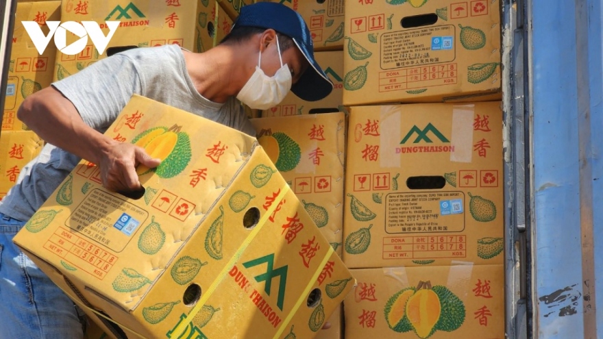 Durian exports bring in more than US$2 billion to Vietnam