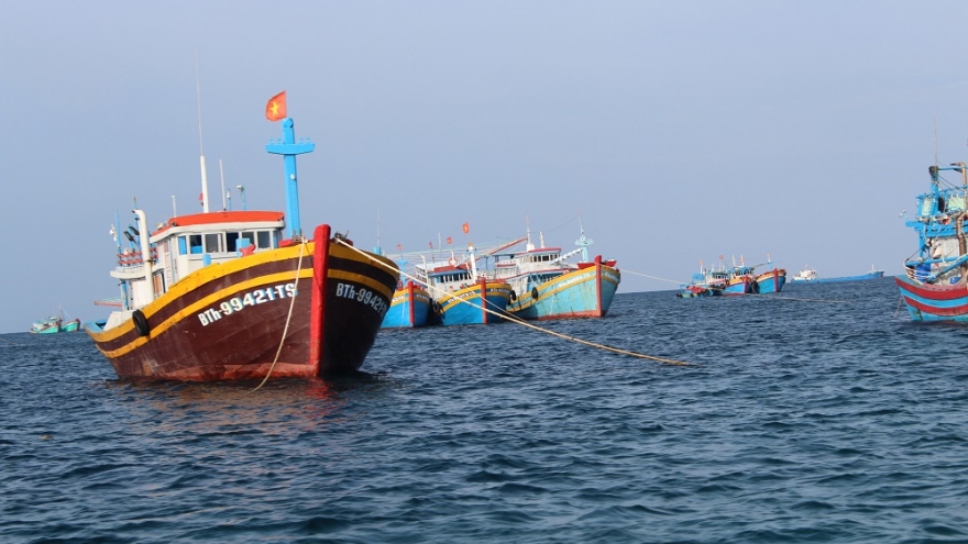 Tìm thấy thi thể ngư dân mất tích trong vụ tàu cá bị đâm chìm ở Bình Thuận