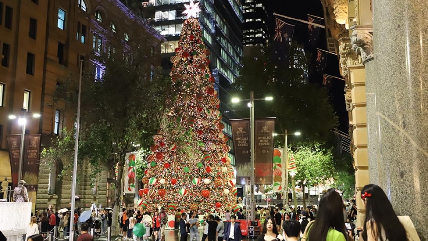Chiêm ngưỡng cảnh cây thông Noel lớn nhất Sydney (Australia) được thắp sáng