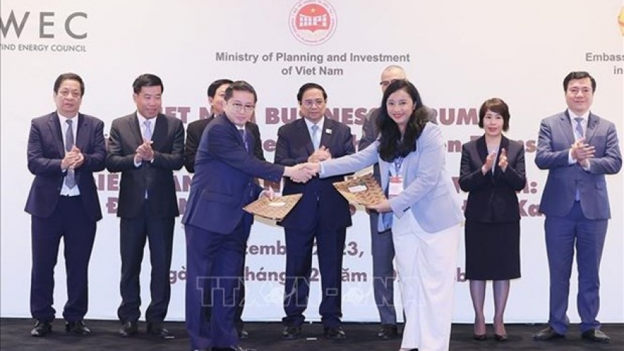 Vietnam business forum discusses mobilising resources for green transition