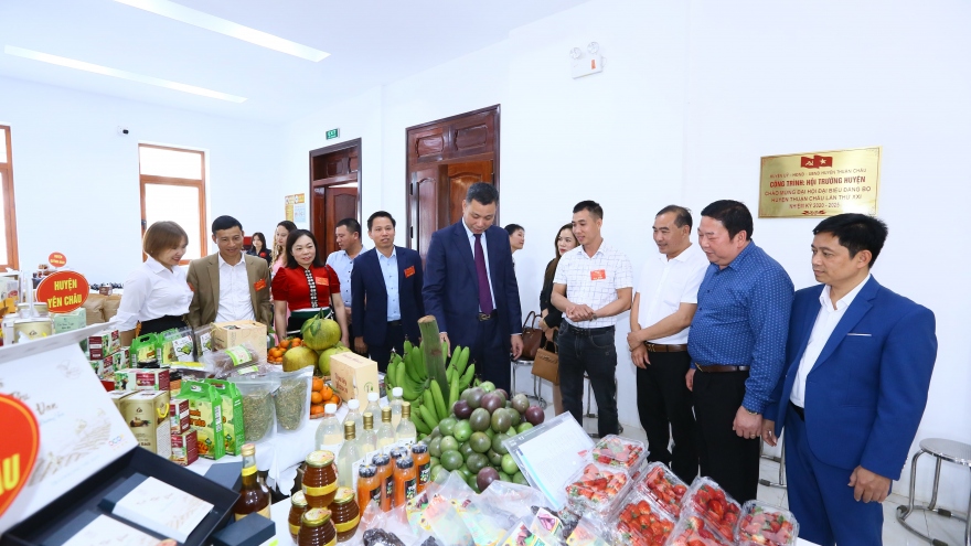 Nông nghiệp tiếp tục là trụ đỡ quan trọng trong cơ cấu kinh tế tỉnh Sơn La