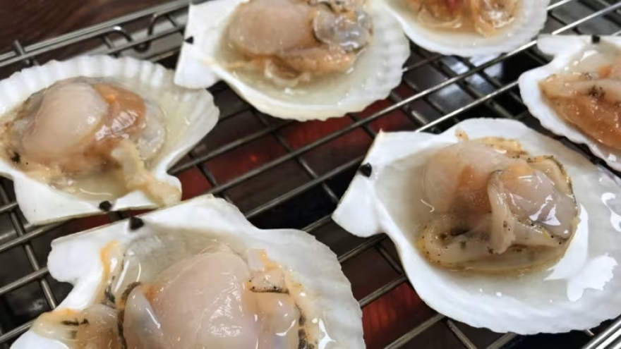 Japanese seafood companies pilot processing Hokkaido scallops in Vietnam