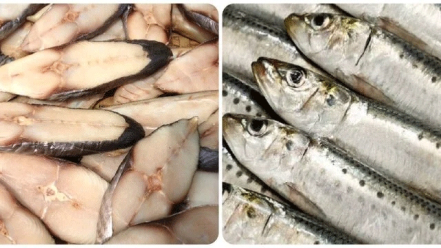 5 loại cá giàu dinh dưỡng, tốt cho sức khoẻ nên mua khi đi chợ