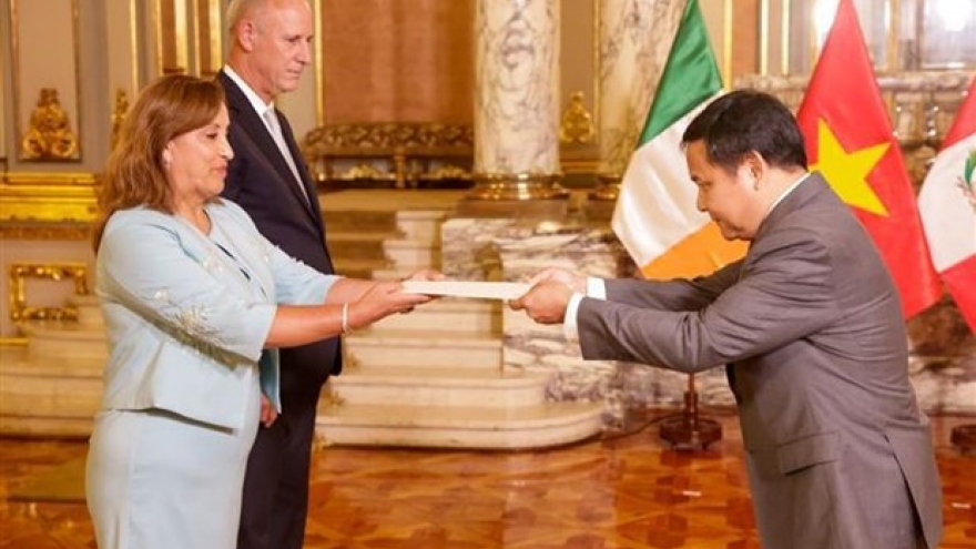 Vietnam works to cement ties with Peru