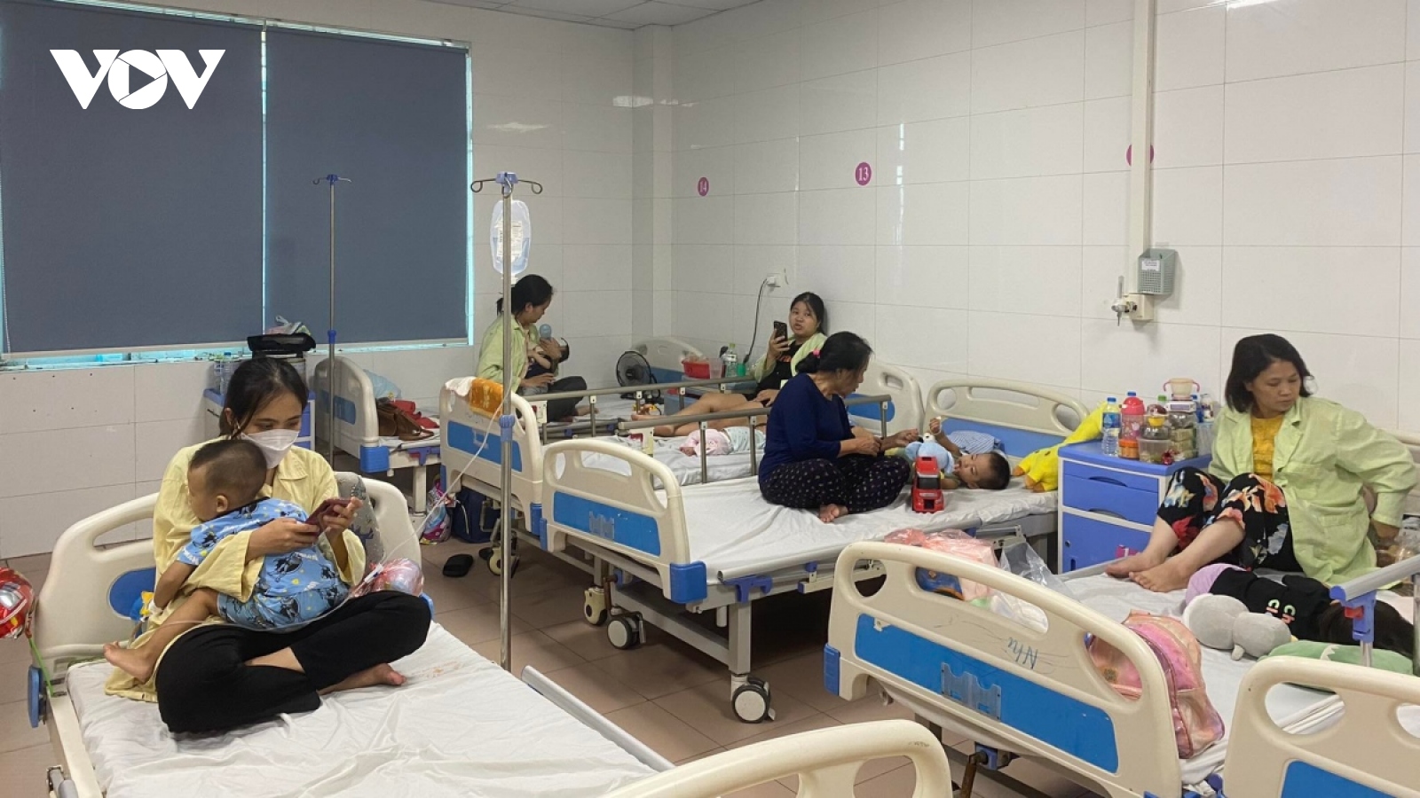Hanoi records 1,556 dengue fever cases since beginning of year