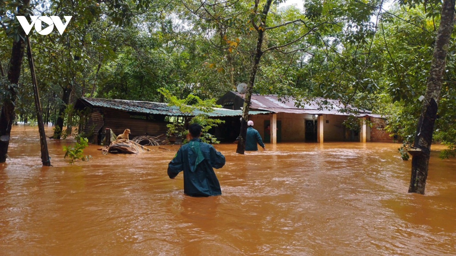 Mưa lớn gây ngập úng nhiều nơi ở Bình Phước, Bình Dương