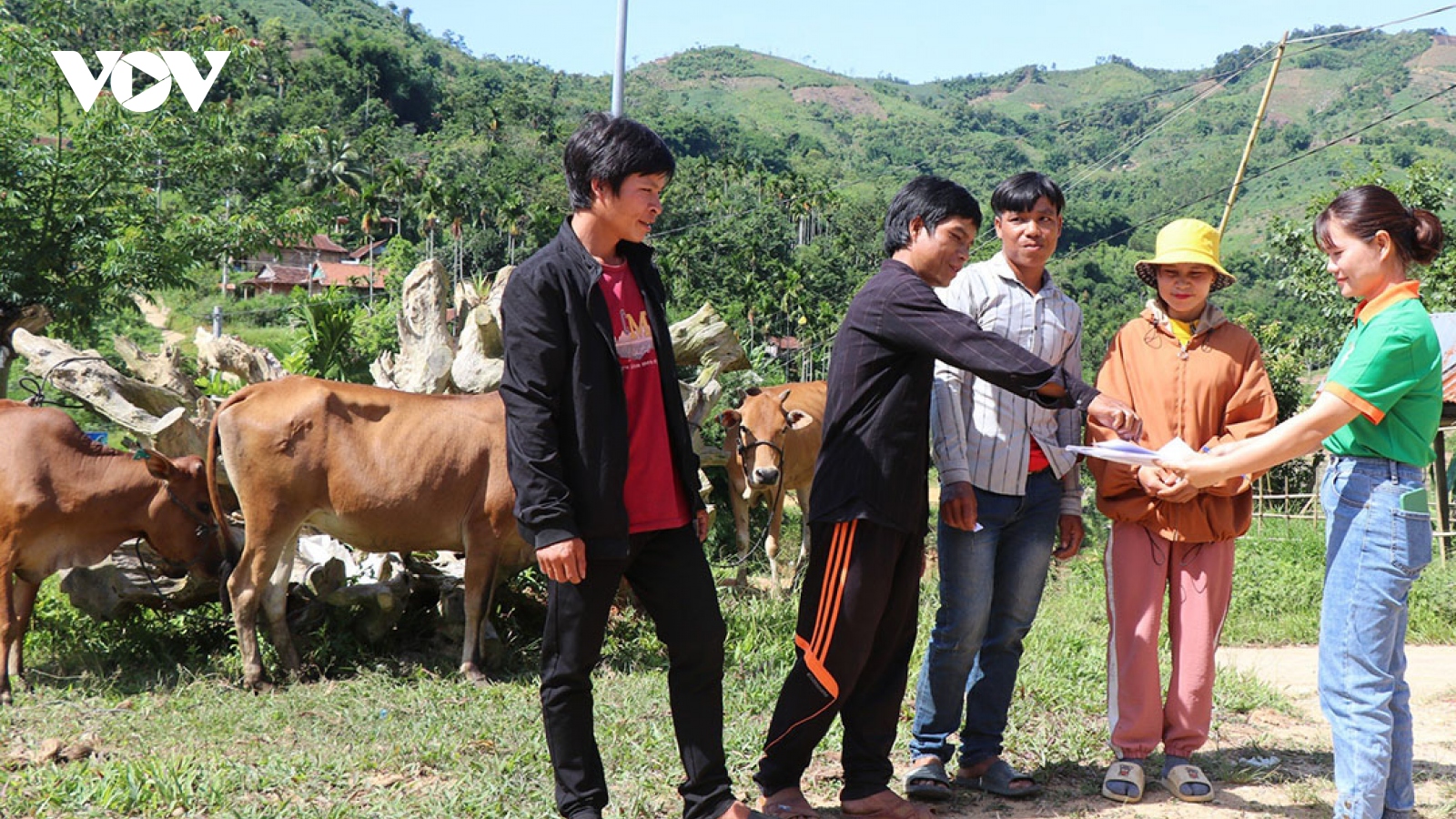 Hỗ trợ sinh kế giúp đồng bào miền núi Quảng Ngãi thoát nghèo