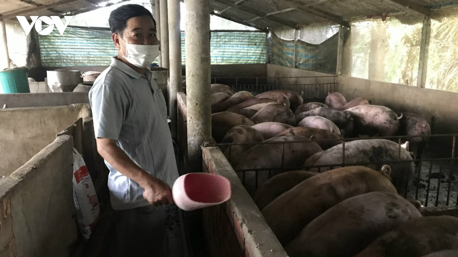 Tiền Giang xác định 215 khu dân cư không được phép chăn nuôi
