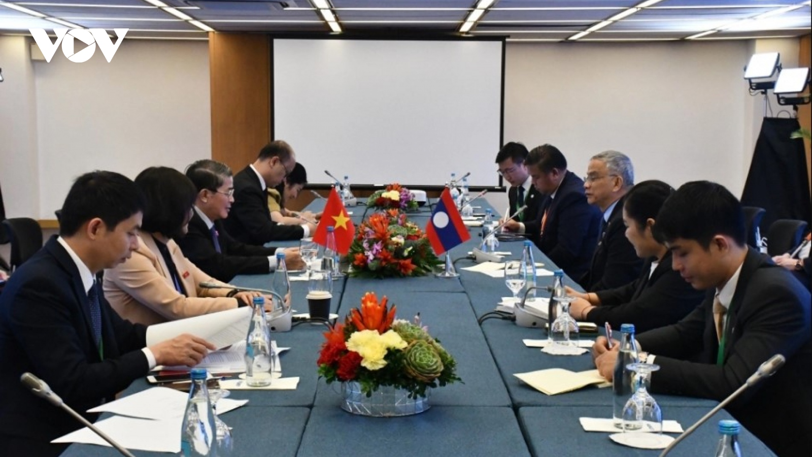 Vietnam supports Laos in successfully assuming ASEAN and AIPA chairmanship