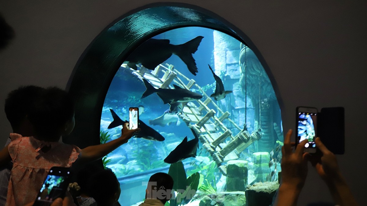 Largest indoor aquarium in Hanoi opens