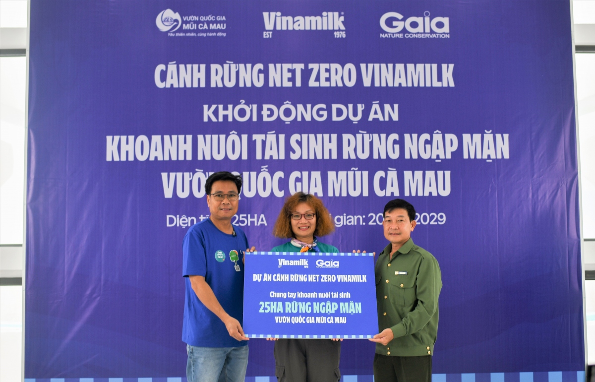 vinamilk triển khai dự án tái sinh 25ha rừng ngập mặn tại cà mau hình ảnh 1 vinamilk trien khai du an tai sinh 25ha rung ngap man tai ca mau hinh anh 1