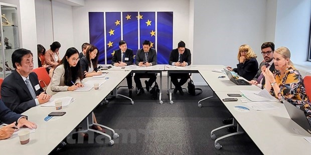 binh phuoc takes action to comply with eu s anti-deforestation regulations picture 1 binh phuoc takes action to comply with eu s anti-deforestation regulations picture 1