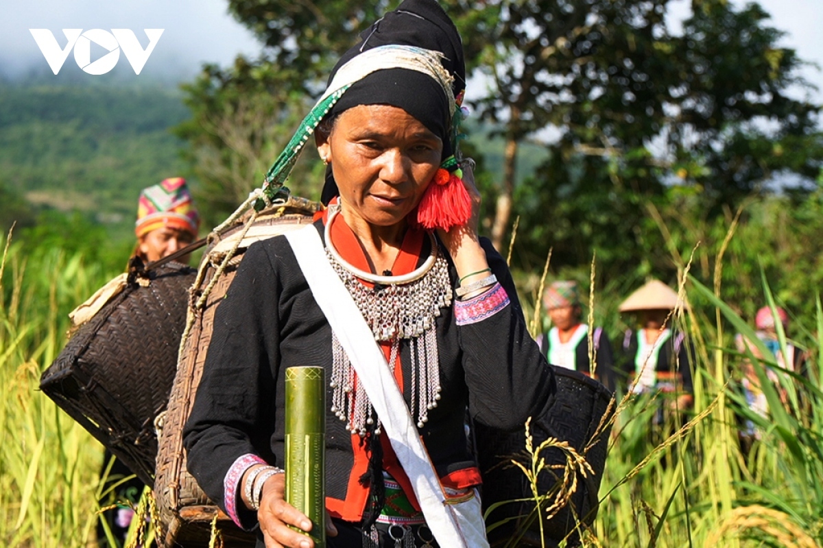 young rice festival of kho mu ethnic people in lai chau province picture 4 young rice festival of kho mu ethnic people in lai chau province picture 4