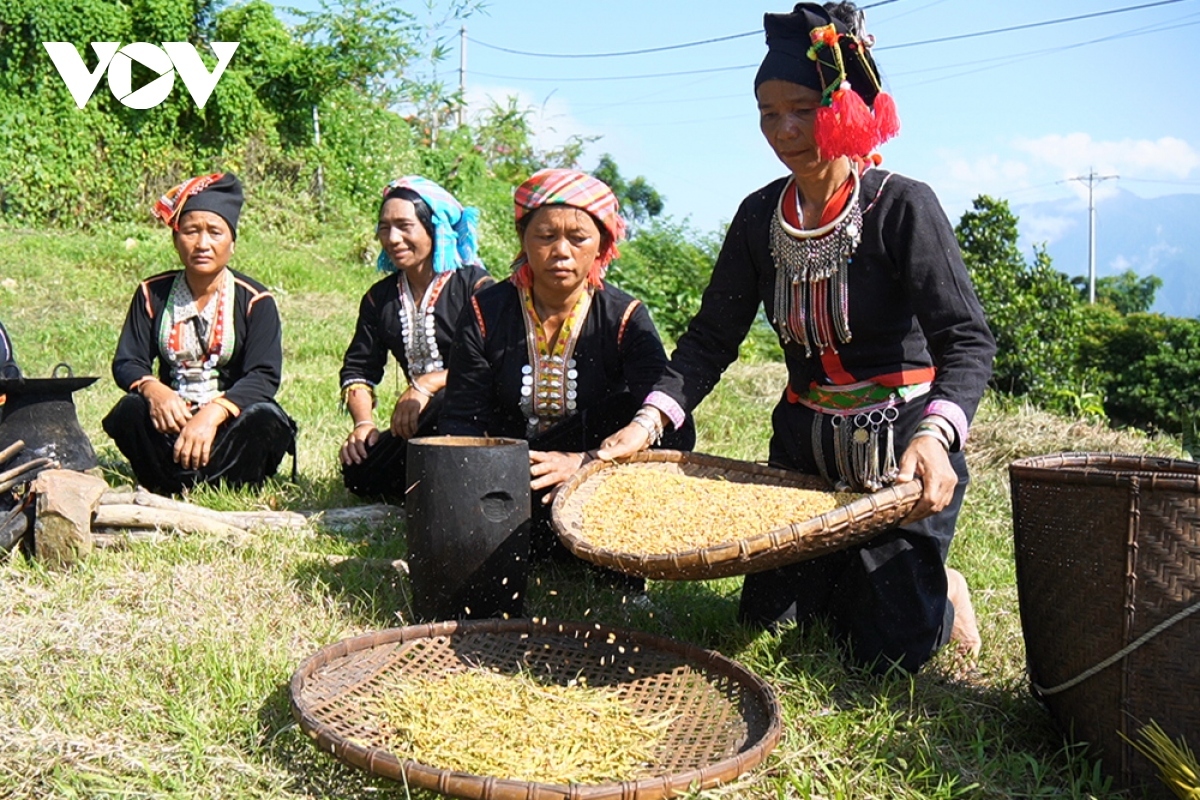 young rice festival of kho mu ethnic people in lai chau province picture 9