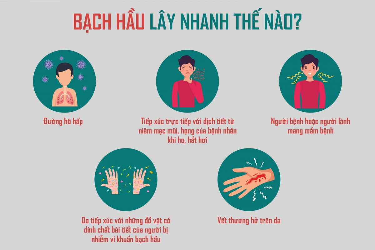 Đà nẵng tăng cường kiểm soát bệnh bạch hầu hình ảnh 1 Da nang tang cuong kiem soat benh bach hau hinh anh 1