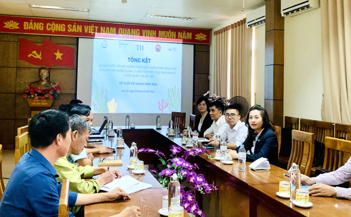 tập đoàn th tham gia thả phao neo phân vùng sinh thái rạn san hô tại cát bà hình ảnh 1 tap doan th tham gia tha phao neo phan vung sinh thai ran san ho tai cat ba hinh anh 1