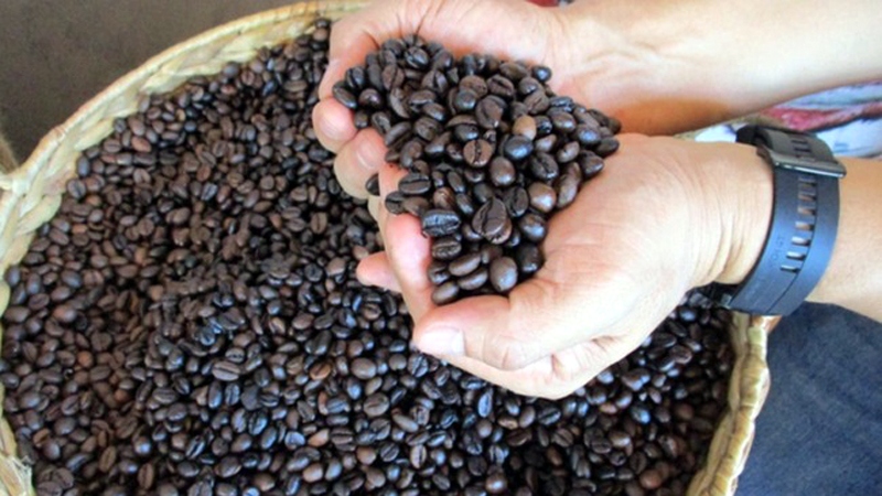 xuat khau ca phe co the dat 5 ty usd nam 2024 hinh anh 1