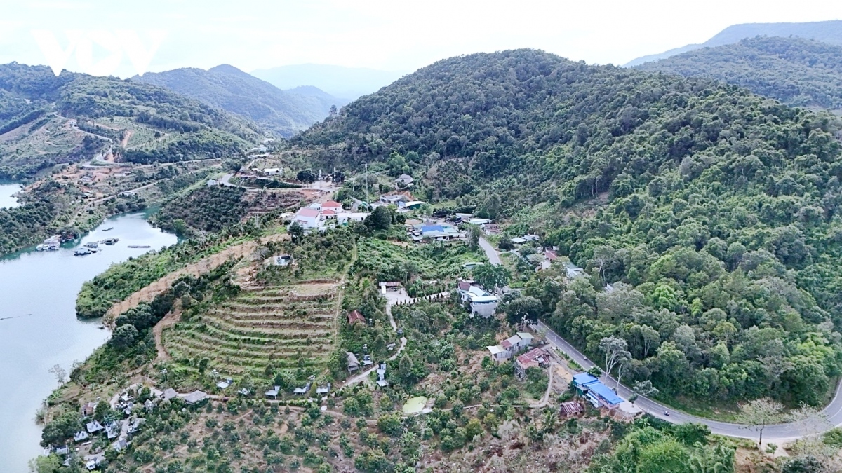 hoan thien chuoi san pham len rung xuong bien tai binh thuan hinh anh 3 hoan thien chuoi san pham len rung xuong bien tai binh thuan hinh anh 3