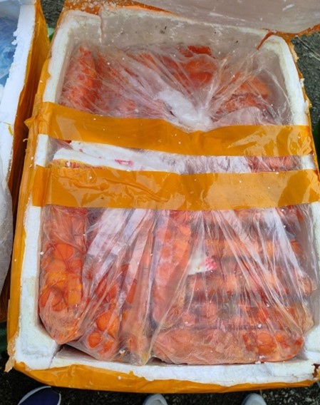 ha noi thu giu 01 tan noi tang dong vat ban, khong ro nguon goc xuat xu hinh anh 1 ha noi thu giu 01 tan noi tang dong vat ban, khong ro nguon goc xuat xu hinh anh 1