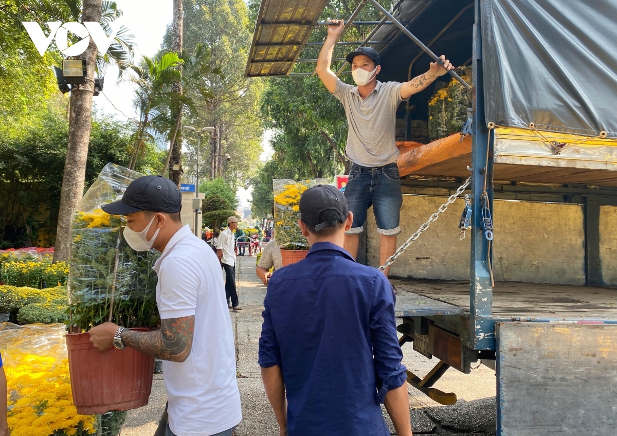 ornamental flowers for tet flock to ho chi minh city picture 5