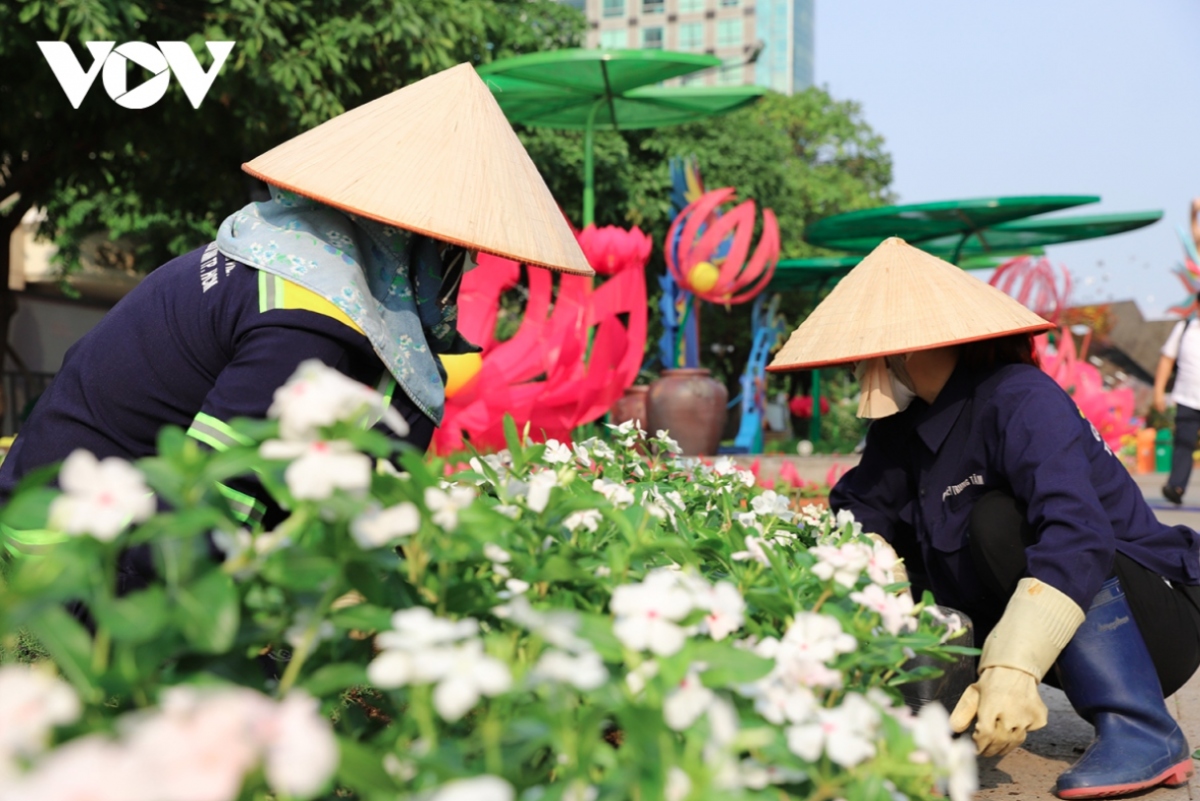 nguyen hue flower street given tet makeover picture 2