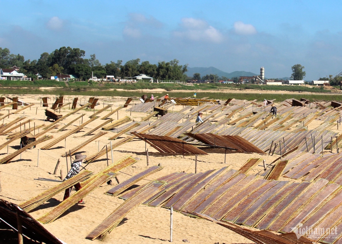 vermicelli village in binh dinh busy ahead of lunar new year picture 4