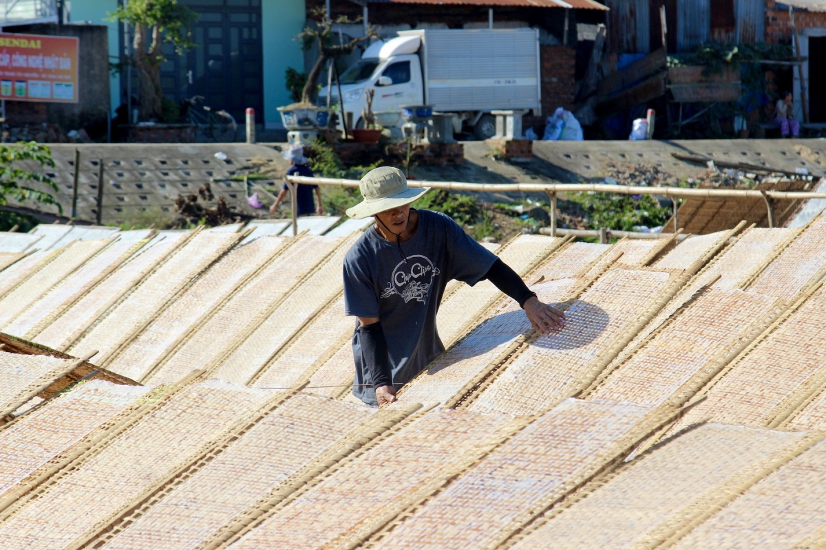 vermicelli village in binh dinh busy ahead of lunar new year picture 5