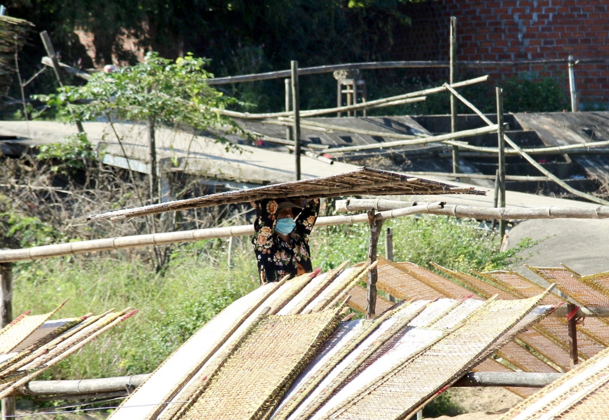 vermicelli village in binh dinh busy ahead of lunar new year picture 6