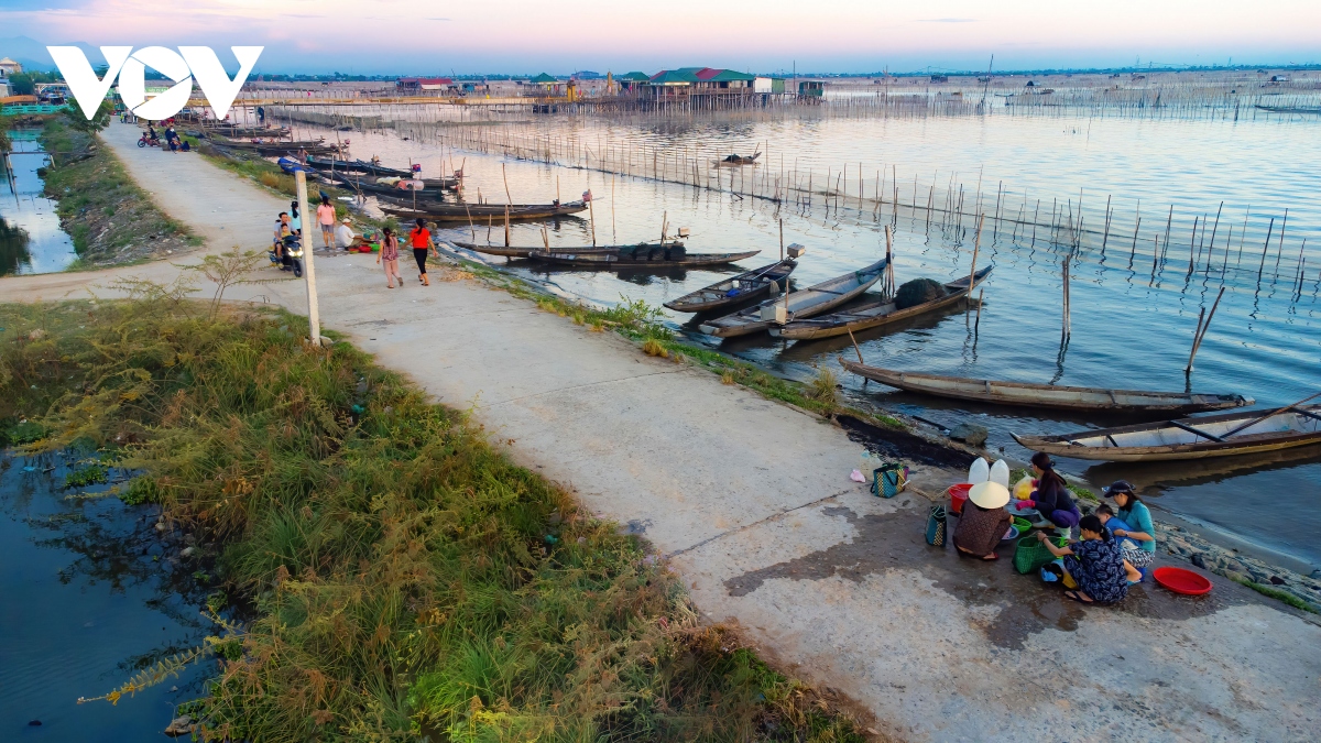 bình minh ở đầm chuồn - thừa thiên huế hình ảnh 8 binh minh o dam chuon - thua thien hue hinh anh 8