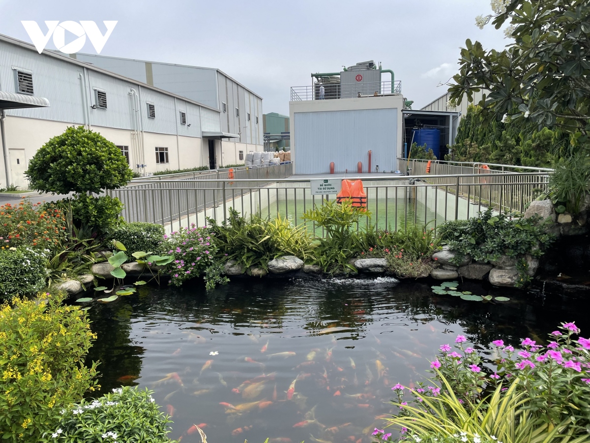 thị trường tài chính carbon, đừng để nước đến chân mới nhảy hình ảnh 1 thi truong tai chinh carbon, dung de nuoc den chan moi nhay hinh anh 1