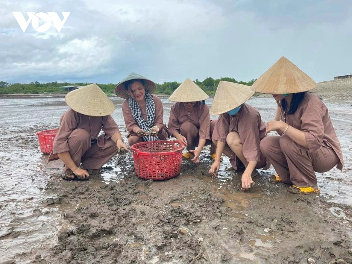 nganh du lich ben tre - mot nam duoc mua hinh anh 2