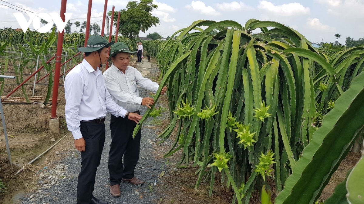 doanh nghiep dong hanh trong dao tao nhan luc nong nghiep chat luong cao hinh anh 1