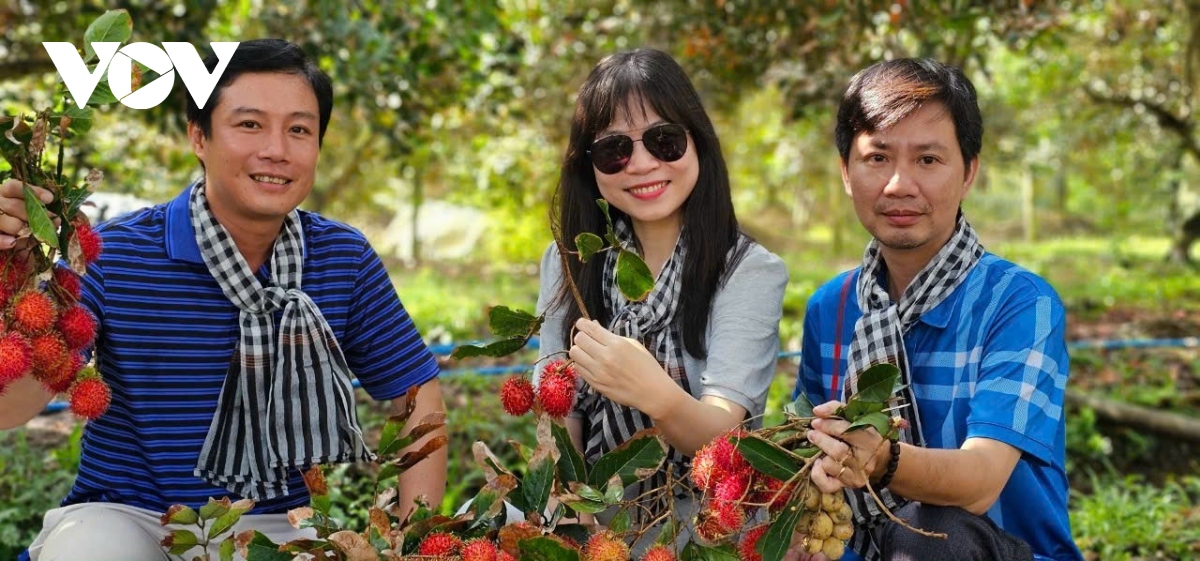 nganh du lich ben tre - mot nam duoc mua hinh anh 5