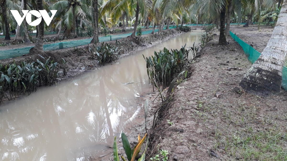 mo hinh san xuat dua huu co ket hop nuoi thuy san cho kinh te gap may lan hinh anh 2