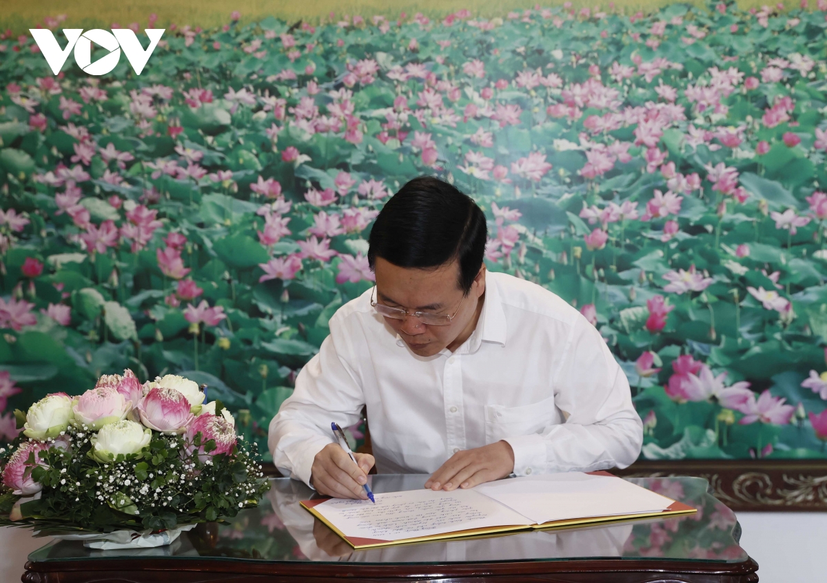 chu tich nuoc vo van thuong chuc tet tai Dong thap hinh anh 13