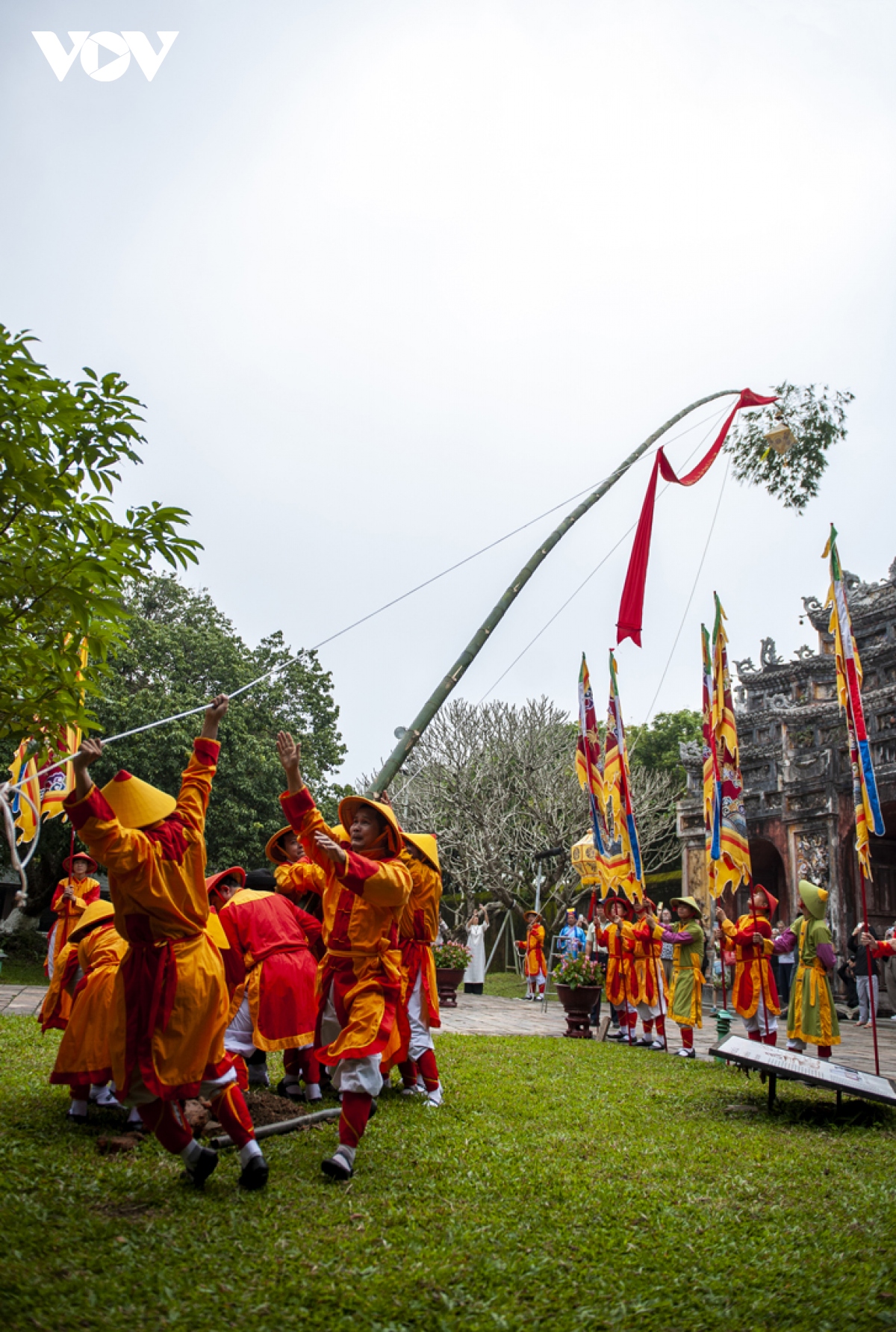 dung neu don tet trong khu di tich co do hue hinh anh 12